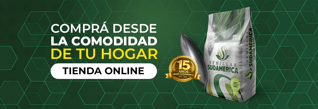 Promociones Sudamérica